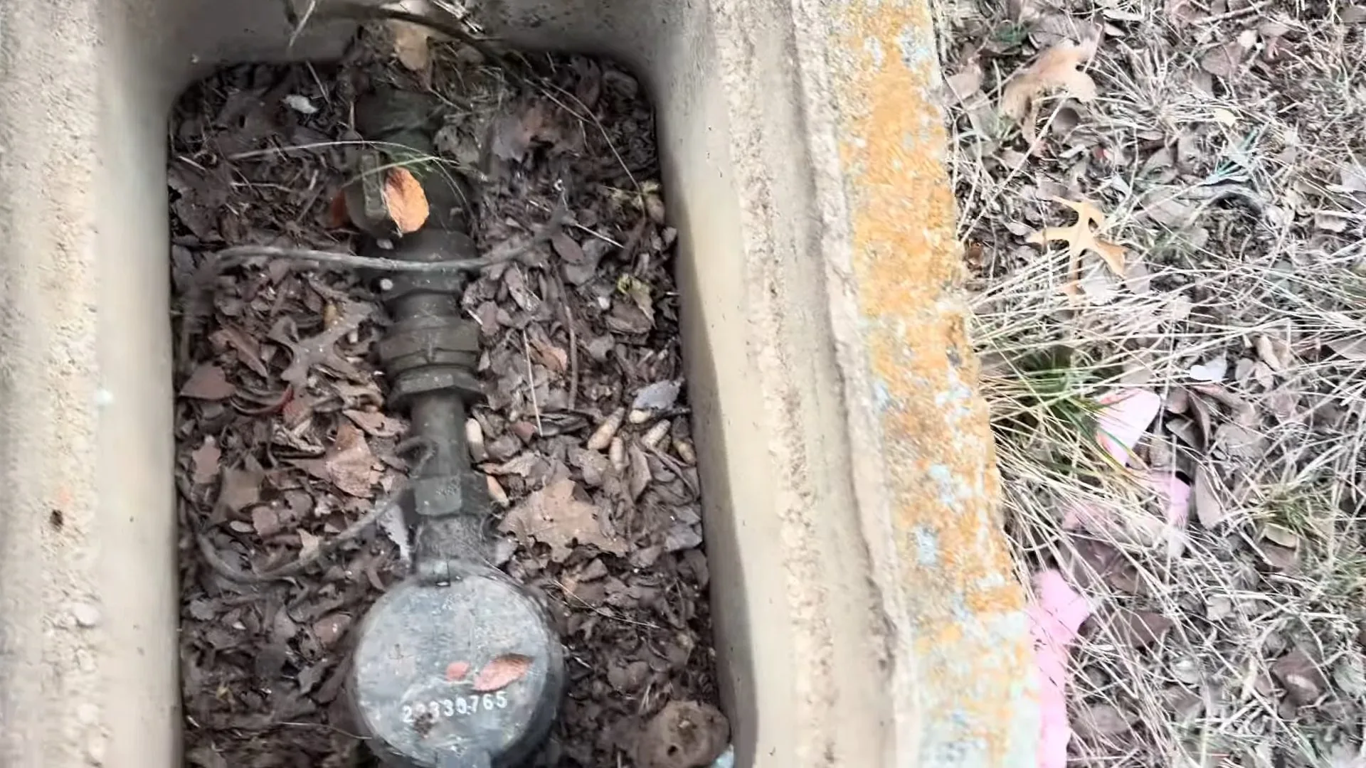 Water meter sitting in a ground box surrounded by dry leaves.